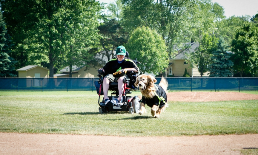 how to a mobility service inspiring animal stories mobility service how to a mobility service inspiring animal stories mobility service